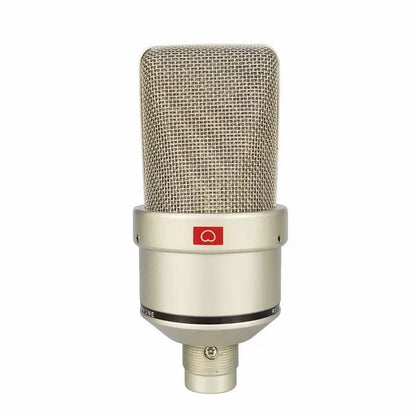 AyeBeau Studio Condenser Microphone