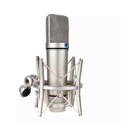 VeGue Metal condenser microphone