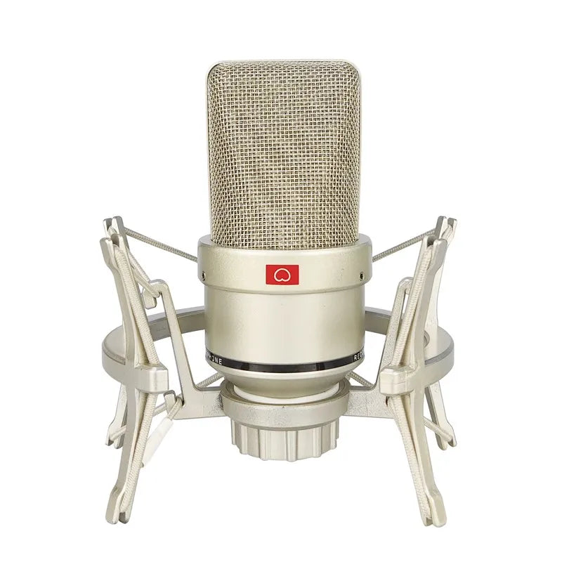 AyeBeau Studio Condenser Microphone