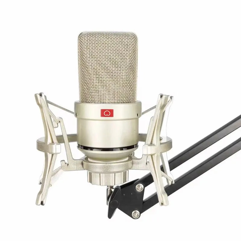 AyeBeau Studio Condenser Microphone