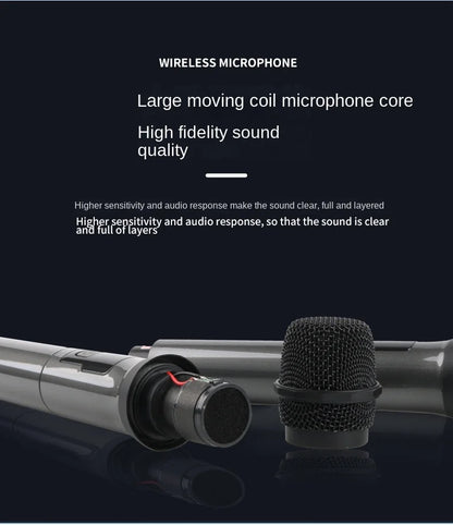 AOIEUUAI UHF Wireless Microphone