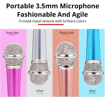 Handheld Stereo Mic