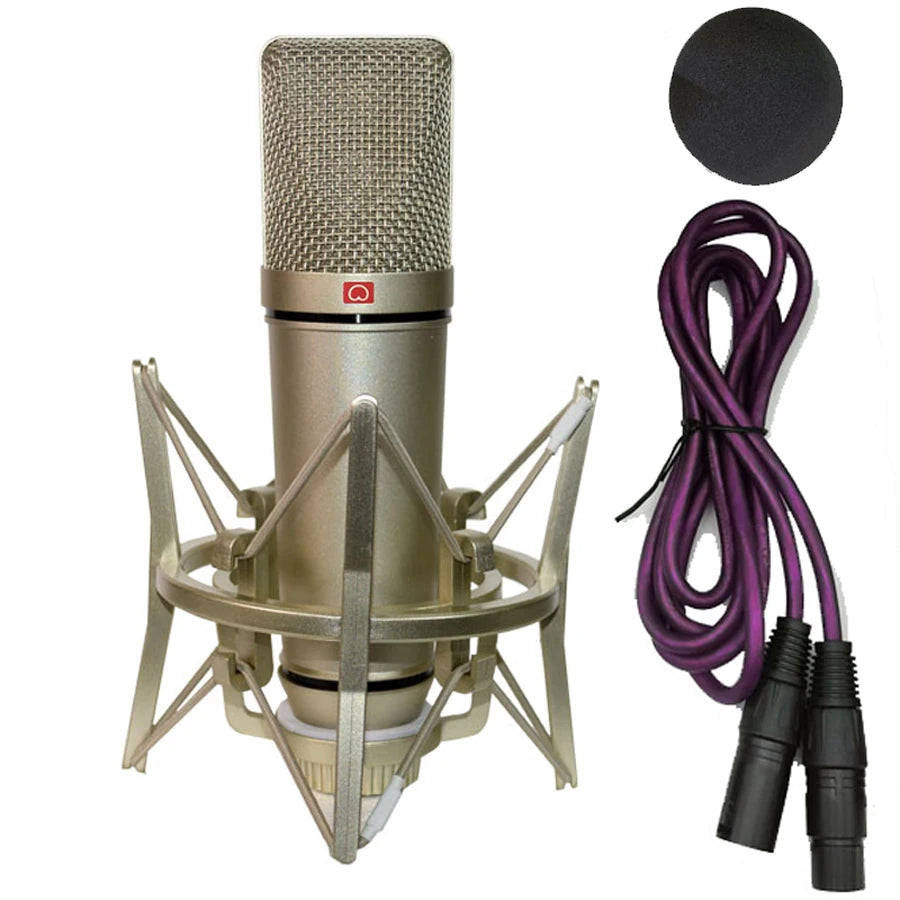 AyeBeau Studio Condenser Microphone