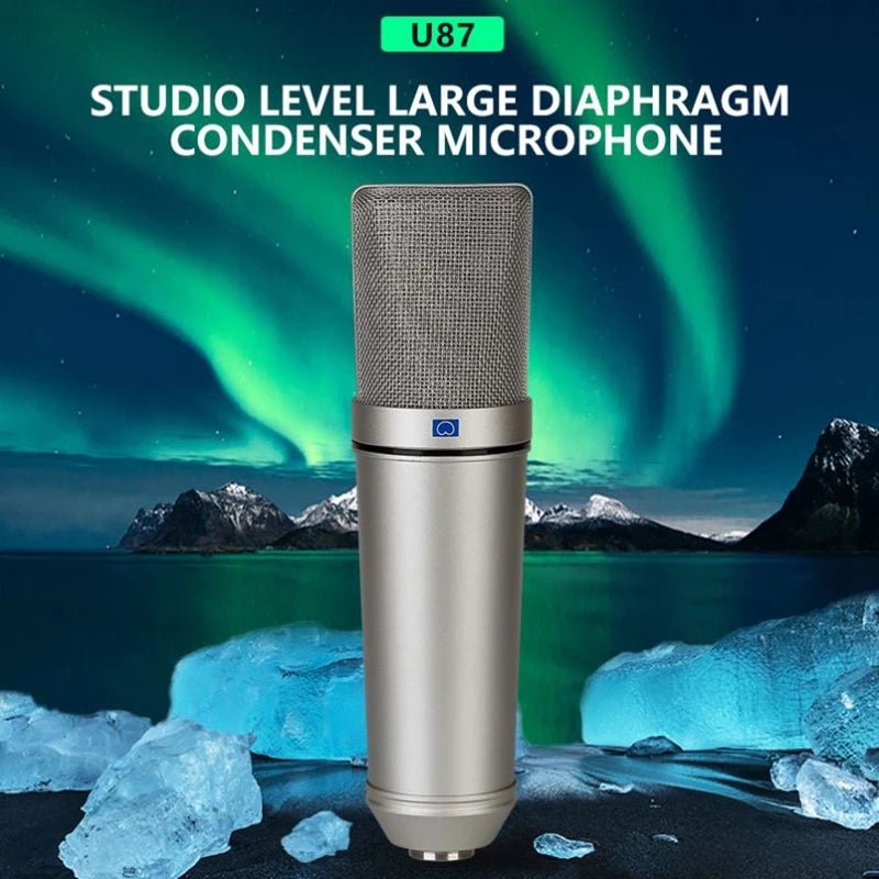 VeGue Metal condenser microphone