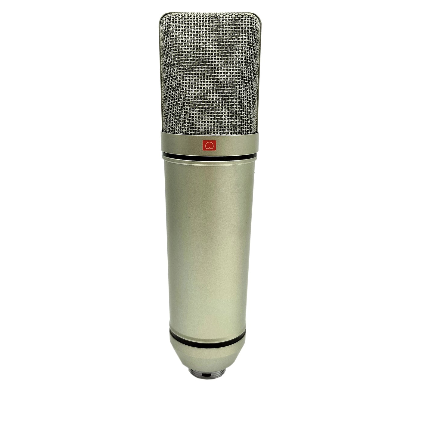 AyeBeau Studio Condenser Microphone