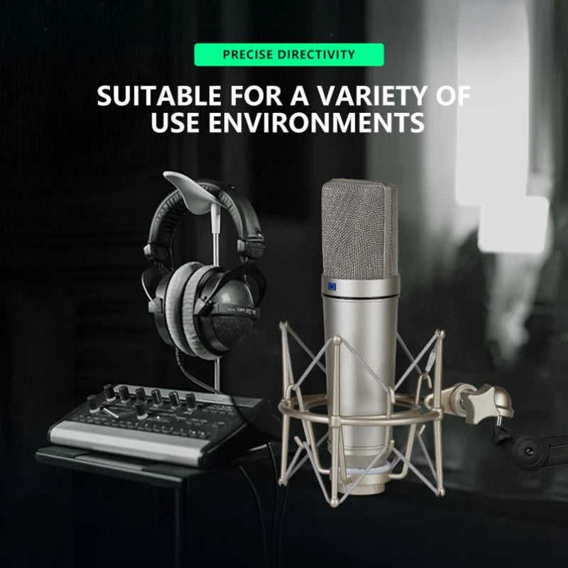 VeGue Metal condenser microphone